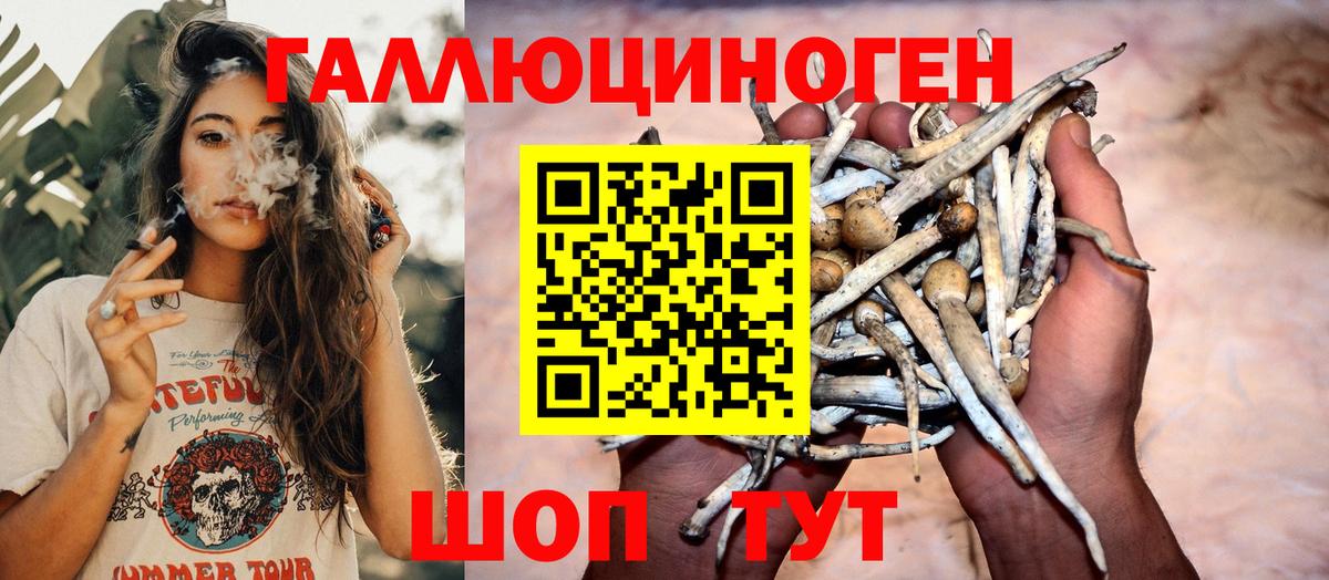Кузнецк  Псилоцибиновые грибы мицелий  Вход с VPN 