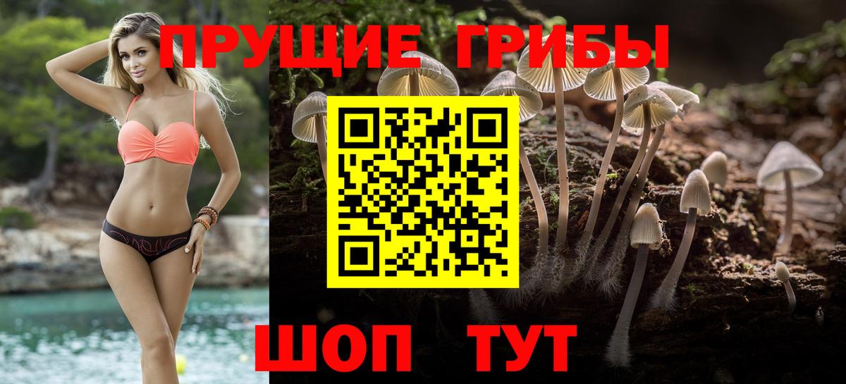 Псилоцибиновые грибы мухоморы Кузнецк
